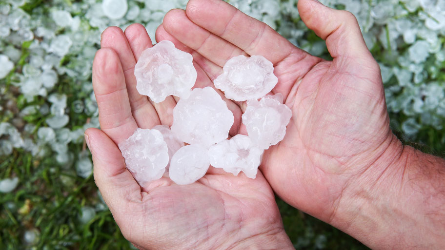 Hail Held by Hand - How to Identify Hail Damage on Your Roof